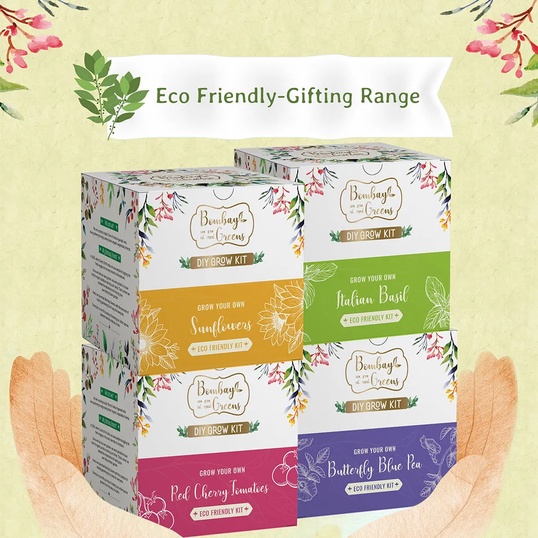 Bombay Greens Eco-Friendly Grow Kit - Sunflower