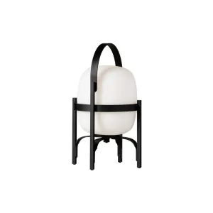Cestita Alubat Table Lamp - Quick Ship