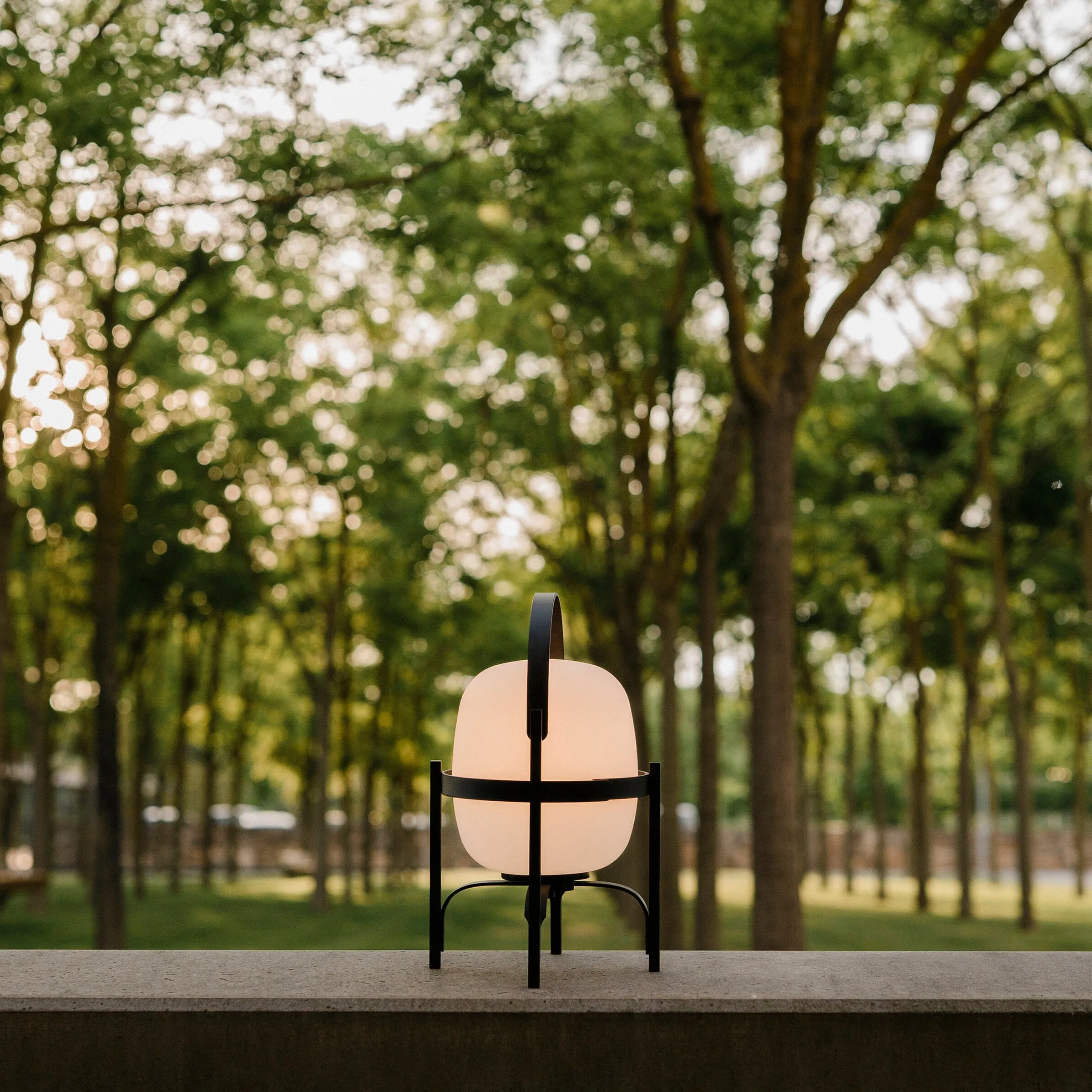 Cestita Alubat Table Lamp - Quick Ship