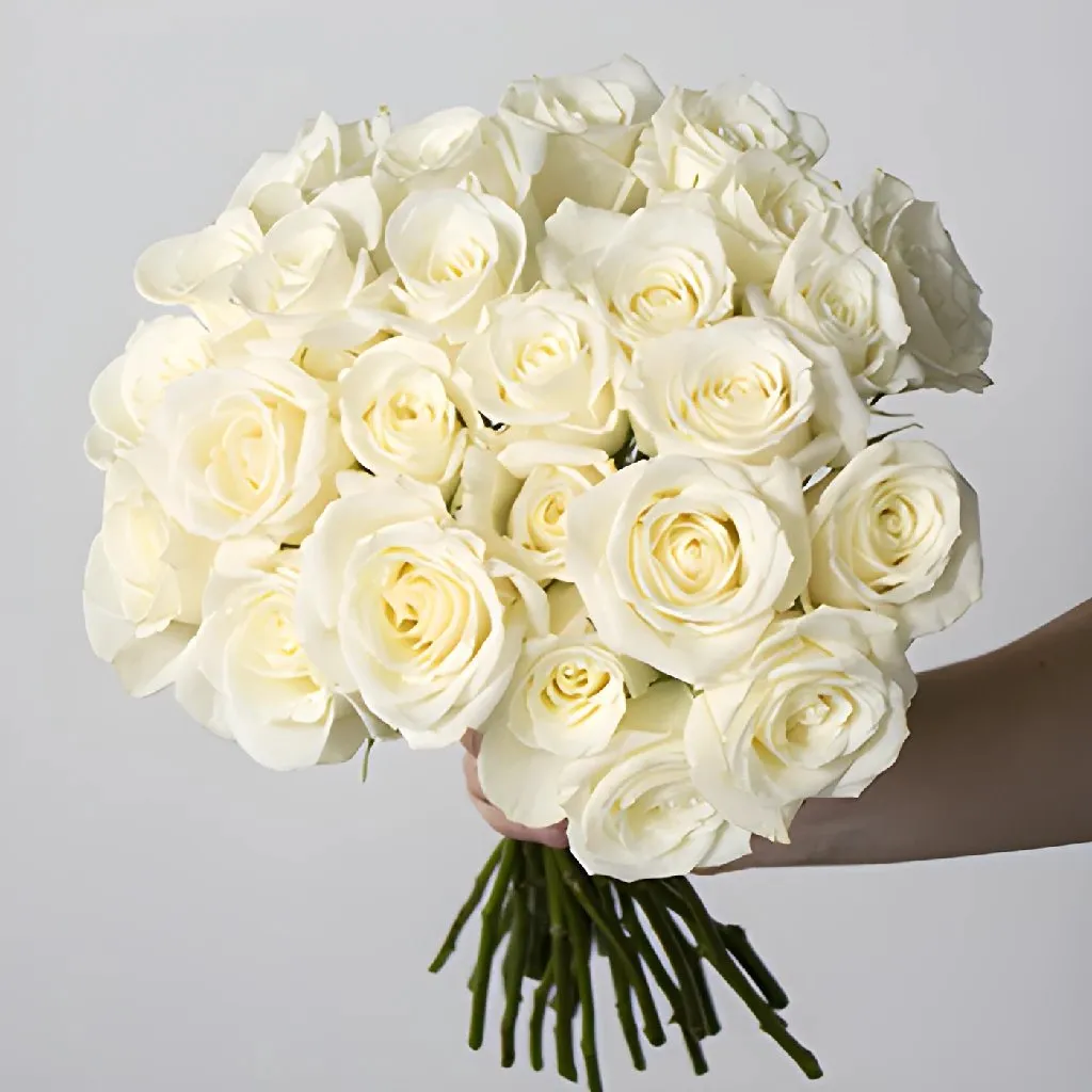 Eskimo White Rose