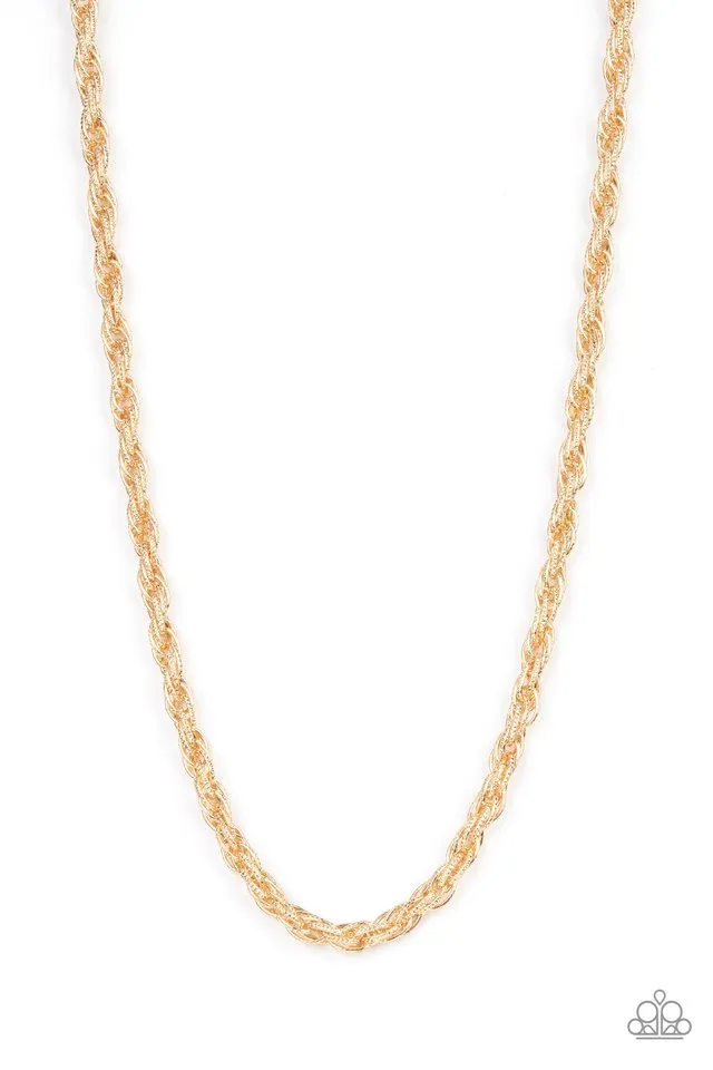 Paparazzi Necklace ~ Pit Stop - Gold